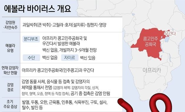 [그래픽] 에볼라 바이러스 개요