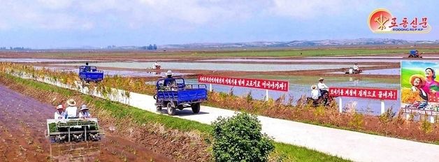 북 "지난해보다 전국적으로 모내기 속도 1.5배 이상"
