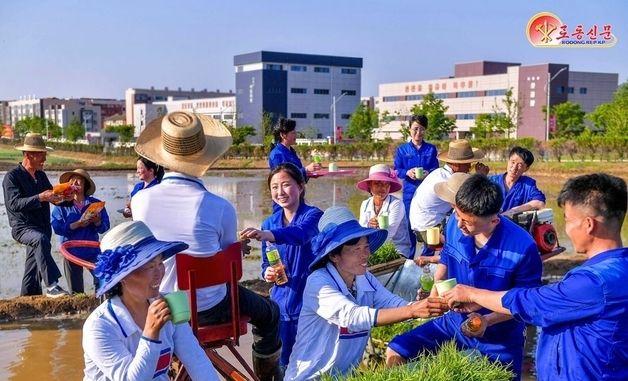 북한, 전국 모내기 속도 선전…"지난해의 1.5배"