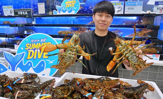 롯데마트, '캐나다산 활랍스터' 할인 판매