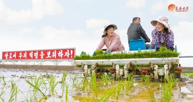평북 모내기 속도 가속…각지 농촌서 실적 상승 이어져