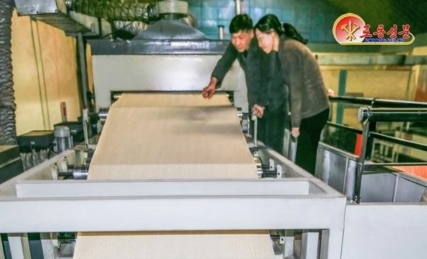 北, "건재 생산 확대" 평양수지건재공장 조명