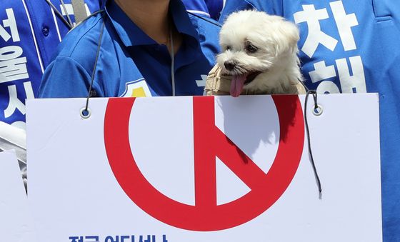 '댕댕이도 투표 독려'