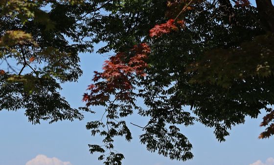 서울 하늘 쾌청