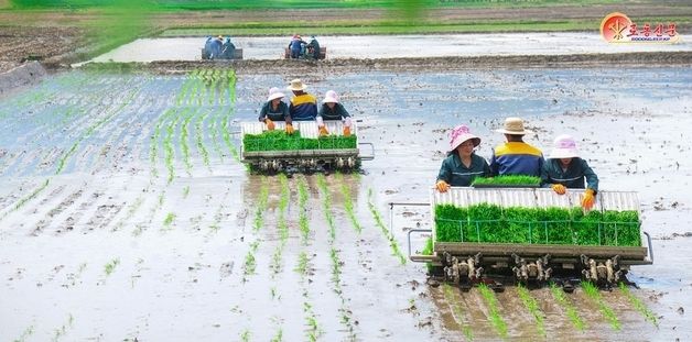 北 안변군, 영농철 모내기 총력전