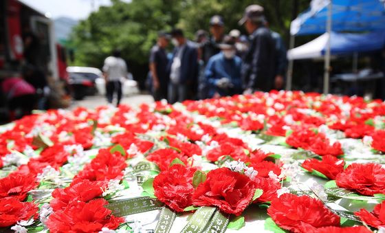 점심 한 끼와 카네이션 드려요