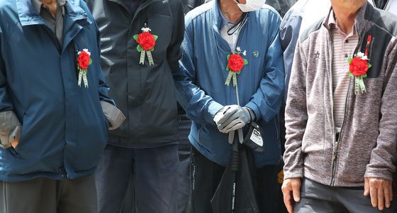 어르신들 가슴에 카네이션