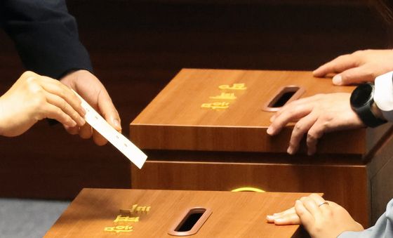'개헌을 위한 투표'