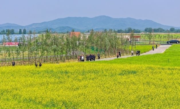 김정은, 간부들과 유채꽃밭 구경