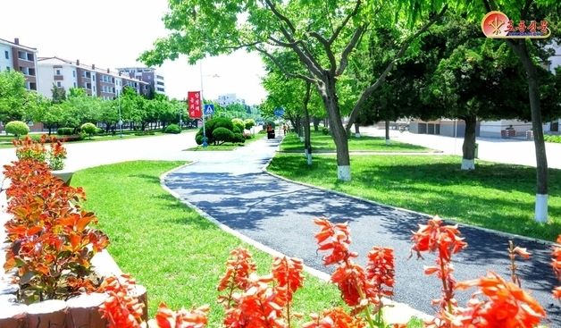 北 순안구역, 수십개 살림집 개건·보수…대형전광판 설치