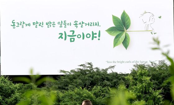 여름옷 갈아입은 광화문 글판