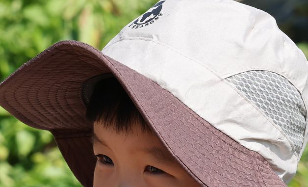 고사리손으로 캔 감자