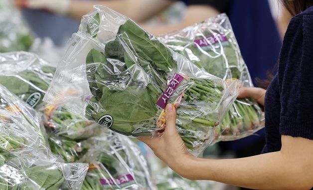 시금치 전월보다 18% 상승… 여름철 앞두고 '채소값 들썩'