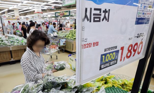 시금치 전월보다 18% 상승… 여름철 앞두고 '채소값 들썩'