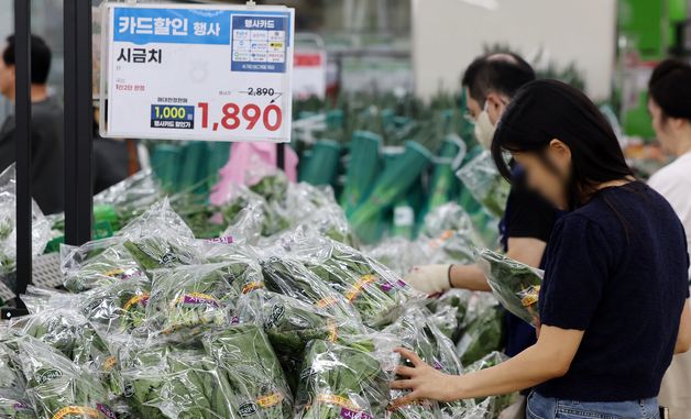시금치 가격 18% 상승… 여름철 앞두고 '채소값 들썩'