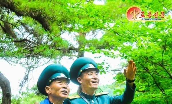 北 "나라의 산림 더욱 푸르게"…대성구역산림경영소 조명