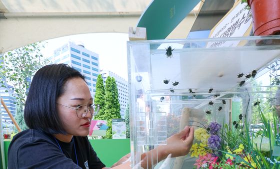 '쏘지않는 뒤영벌 만져보세요'