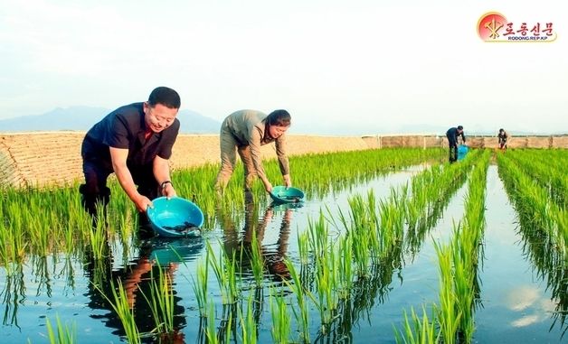 北 논판에 새끼물고기 방류…원산시 룡천농장