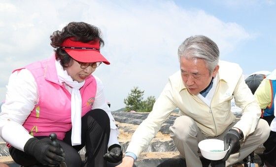 일손돕기 나선 강호동 농협중앙회장