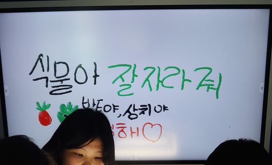 LG전자, '틔운'으로 어린이들의 생태 감수성 높인다