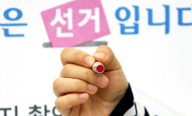민주주의의 꽃…투표하세요