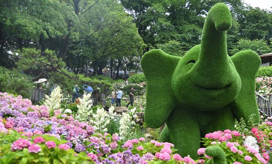 2026 초안산 수국축제