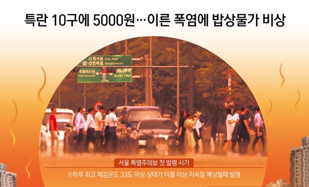 [오늘의 그래픽] 특란 10구에 5000원…이른 폭염에 밥상물가 비상