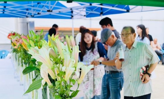 국산 나리 현장평가회