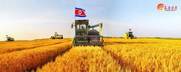 北 문덕군 상팥농장…"밀, 보리 농사 결속"