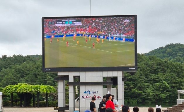 한국 축구 응원하는 울산 시민들