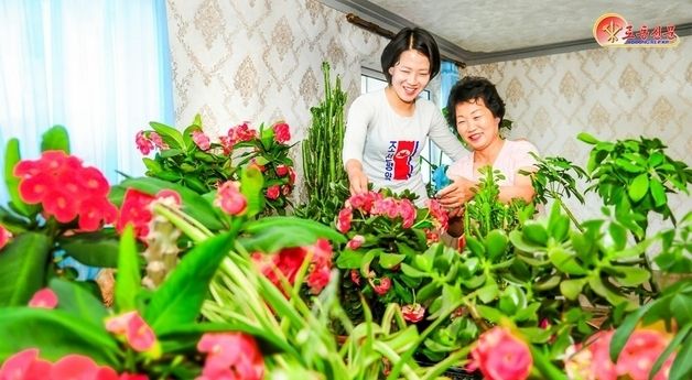 北 원산시 송홍동 "가정에 넘치는 정서" 선전