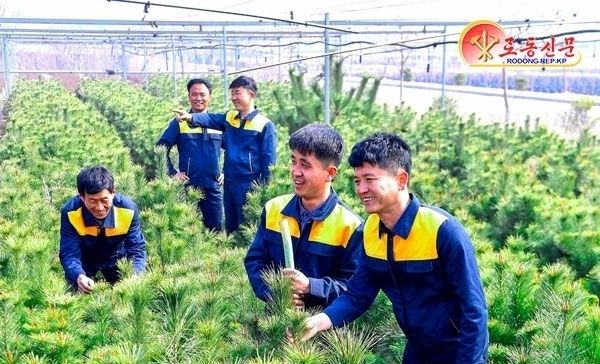 北 "수백정보 종이원료림 조성"…은산군, 산림확대 추진