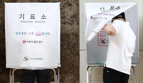 민주주의 꽃은 선거