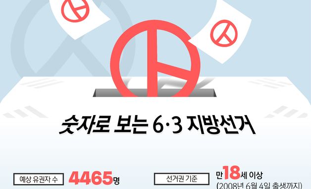[오늘의 그래픽] 숫자로 보는 6·3 지방선거
