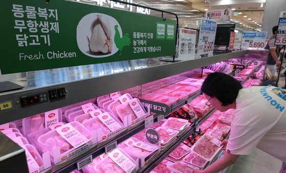 치킨‧삼계탕 수요 몰리는데…내려올 생각 않는 닭고기 가격