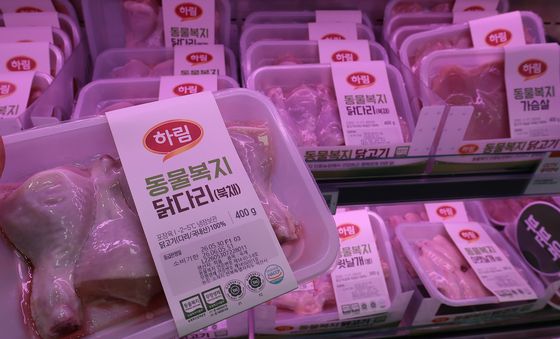 치솟는 닭고기 가격