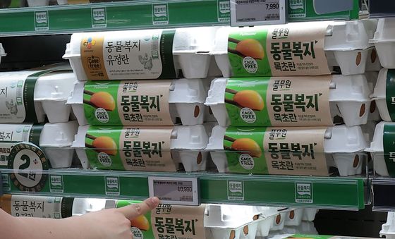 계란 한 판 1만 원 넘어…소비자들 '한숨'