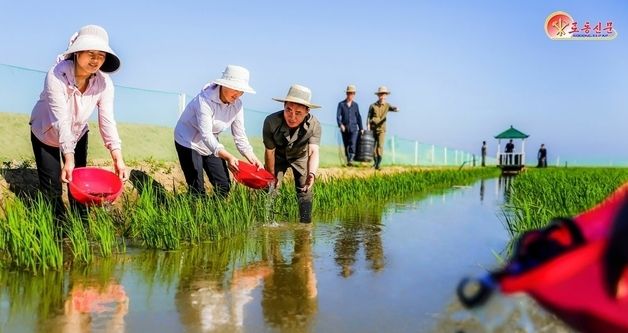 北 "논에 새끼물고기 방류"…룡천군 양어사업 소개