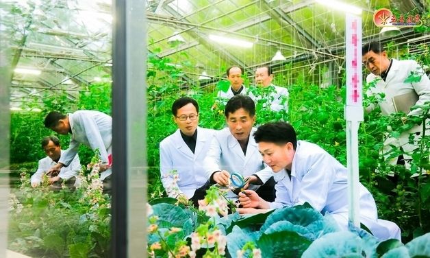 새 품종 농작물 육성 사업 중인 북한 원산농업대학