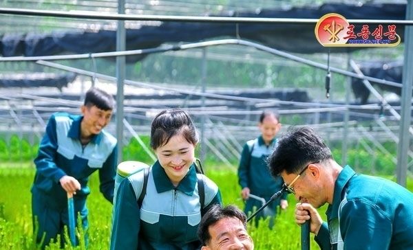 北 강원도양묘장 조명…"양모공들의 기쁨"