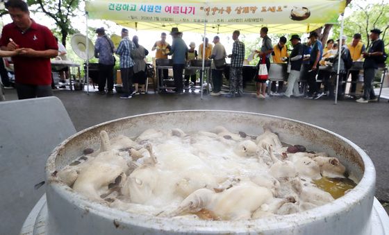 초복 삼계탕처럼 뜨거운 온정