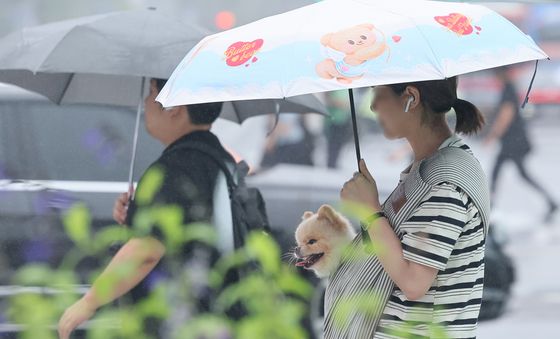 기분 좋은 댕댕이