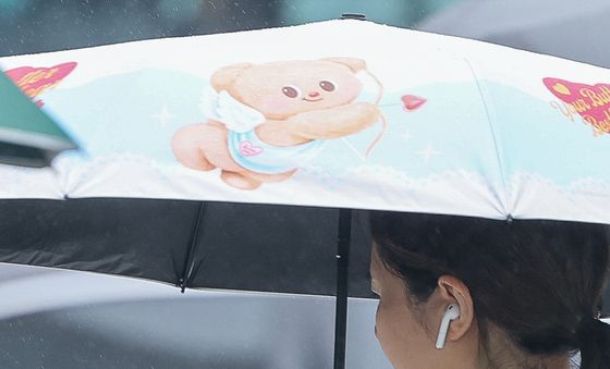 비와도 행복한 댕댕이