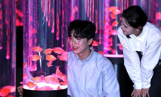 롯데월드 아쿠아리움 물빛정원 '몽환적인 분위기'