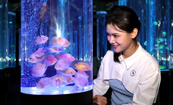 롯데월드 아쿠아리움, 신규 전시공간 '물빛정원' 개장