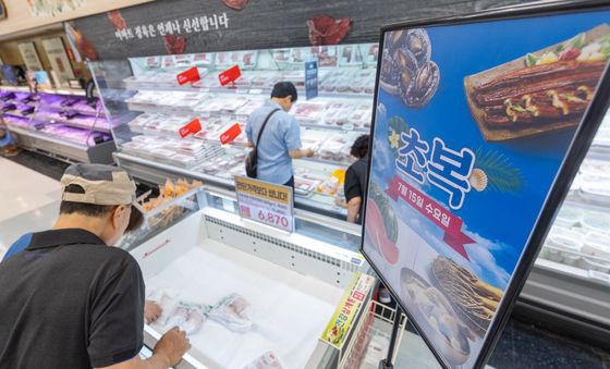 '초복에 동난 삼계탕 재료'