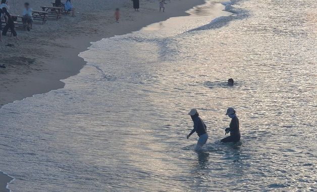 폭염·열대야에 바다로…안목해변 찾은 강릉시민들