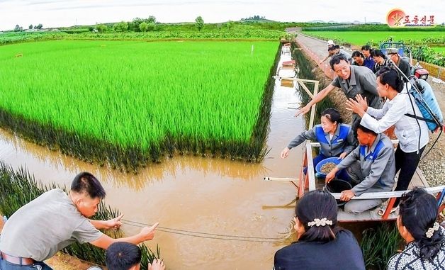 北 "논판양어 활기"…은파군 강안농장 조명