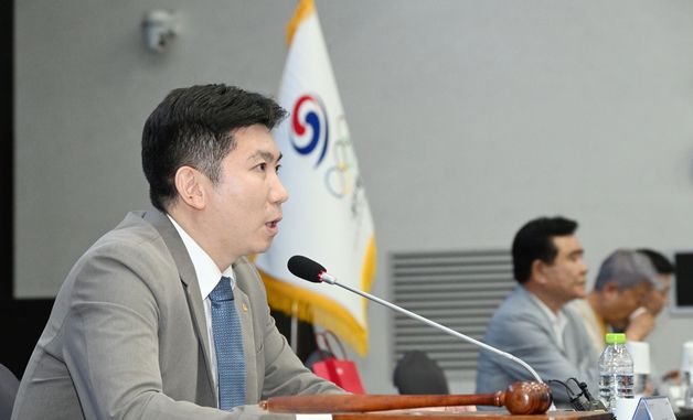 임시대의원총회 발언하는 유승민 대한체육회장