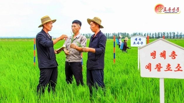 북한, "고온·다습 피해 최소화"…남사농장 조명